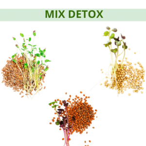 Mix semillas para germinar (DETOX)