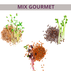 Mix semillas para germinar (Gourmet)